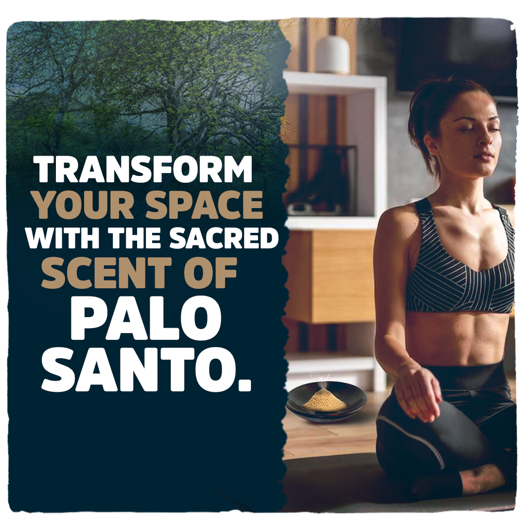 Palo Santo Powder 4oz Natural and Sustainable from Peru Incense Powder for Smudging, Energy Cleansing, Meditation - sustainably Harvested Aromatic Resin Organic Incense
