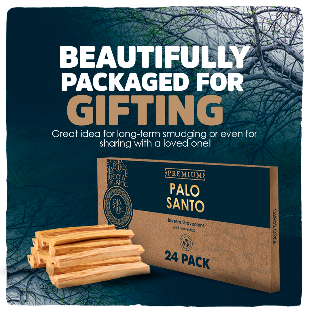 Palo Santo Smudging Sticks (Approx 240 Grams|8 Oz) from Peru -100% Natural Incense, Premium High Resin for Spiritual Cleansing-Substantially Hand-Picked Ethically Wild Harvested-Sustainable Packaging