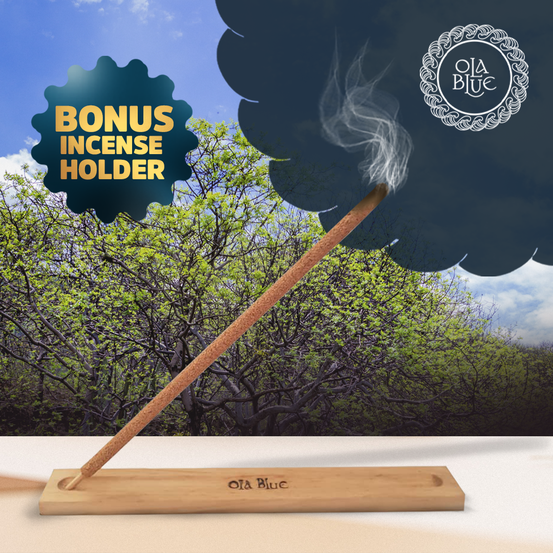 Palo Santo Incense Sticks (12 Pack) and Holder from Peru Premium Authentic - Handmade & Hand Rolled - Cleansing Bad Energy (Incense Sticks)