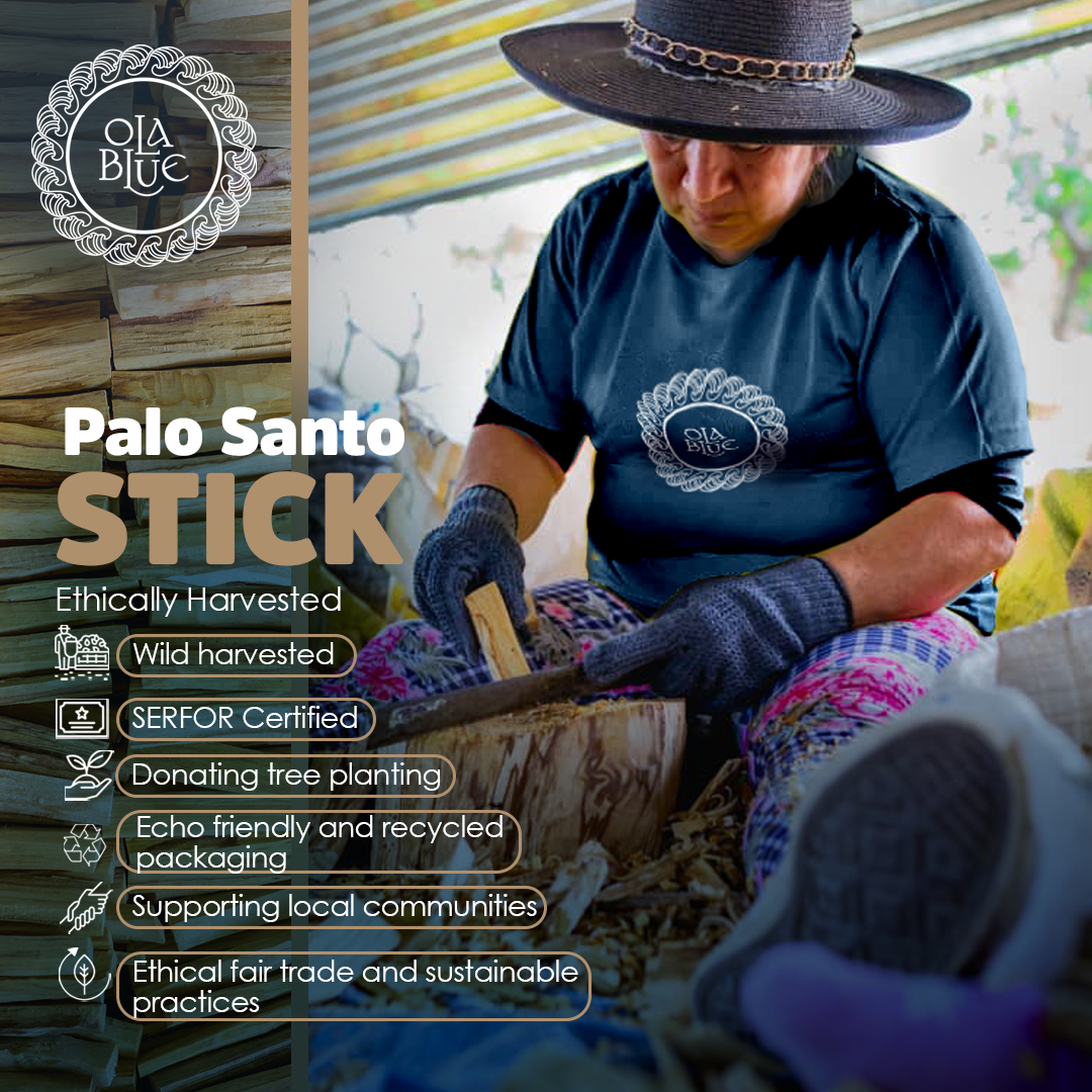 Palo Santo Sticks Premium Resin (Approx. 240 Grams)