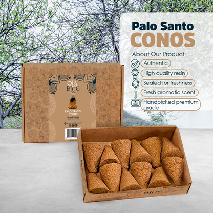 Palo Santo Incense Cones (12 Pack) - from Peru