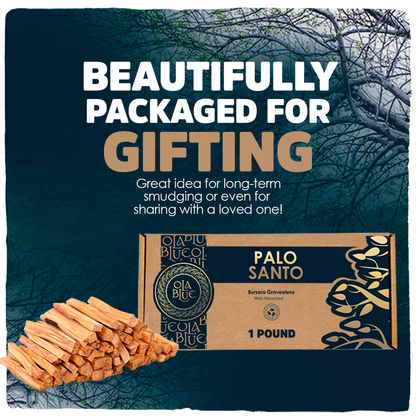 Premium Palo Santo Sticks Bulk (1Pound) from Peru