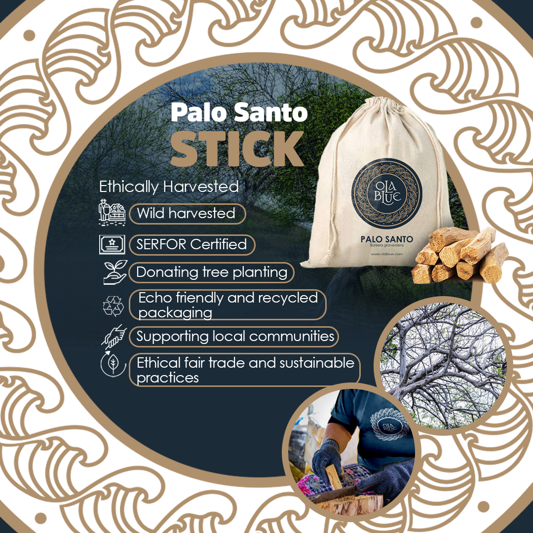 Palo Santo Sticks in Bag (200g)