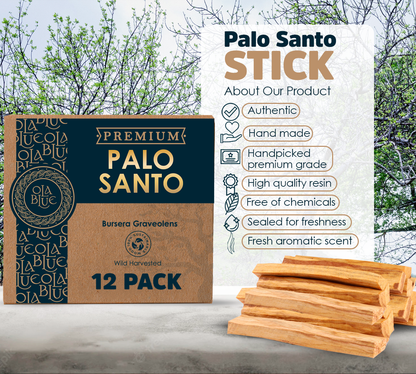 Palo Santo Sticks Premium Resin (12-Pack)